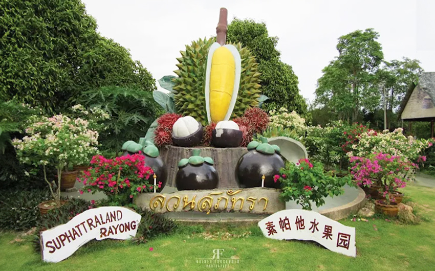 素帕坦水果園